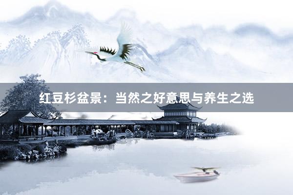 红豆杉盆景：当然之好意思与养生之选
