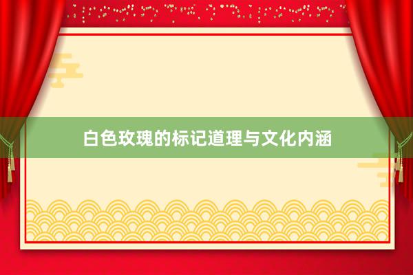 白色玫瑰的标记道理与文化内涵