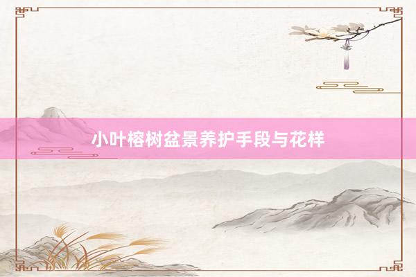 小叶榕树盆景养护手段与花样
