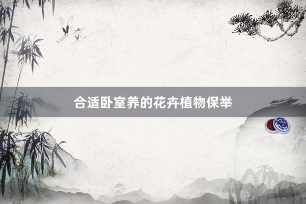 合适卧室养的花卉植物保举