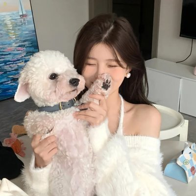 神烦警探第三季